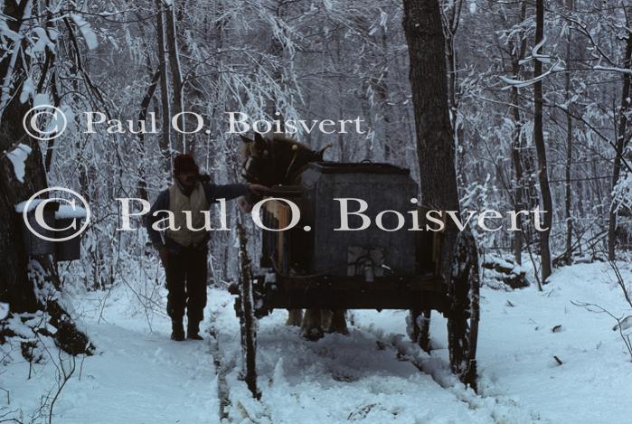 Maple Sugaring 30-20-00050