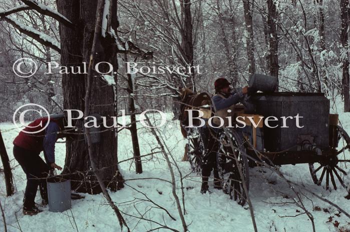 Maple Sugaring 30-20-00056