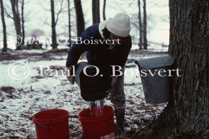 Maple Sugaring 30-20-00083