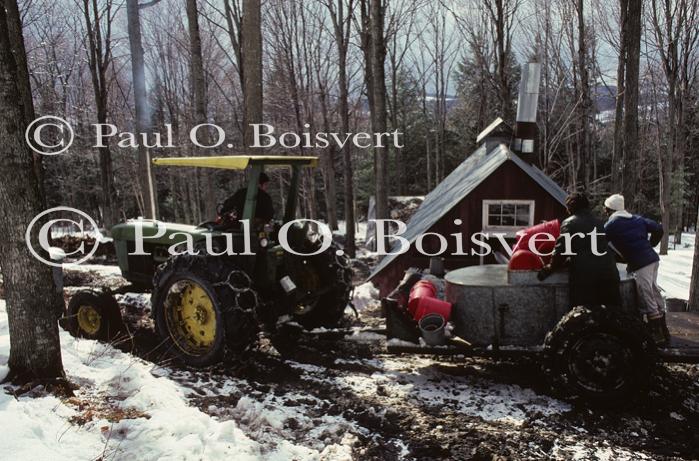 Maple Sugaring 30-20-00123