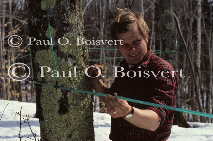 Maple Sugaring 30-20-00619