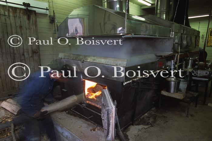 Maple Sugaring 30-20-11634