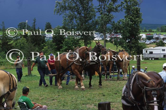 Fairs-Festivals 27-02-00181