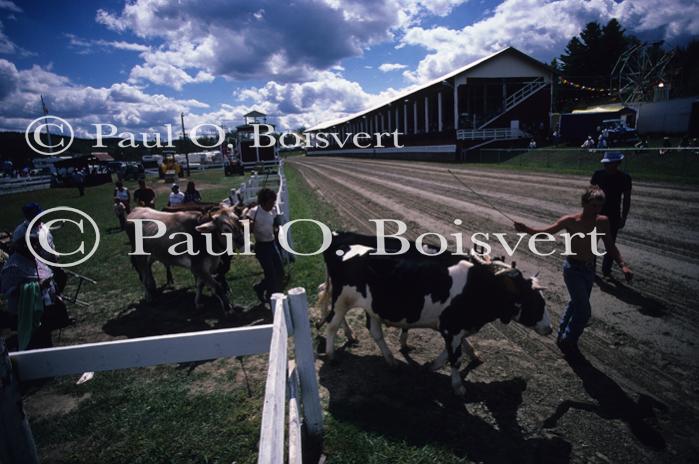 Fairs-Festivals 27-44-00070