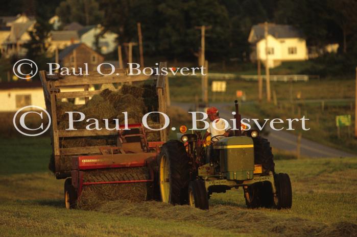 Farm-Summer 30-35-00323