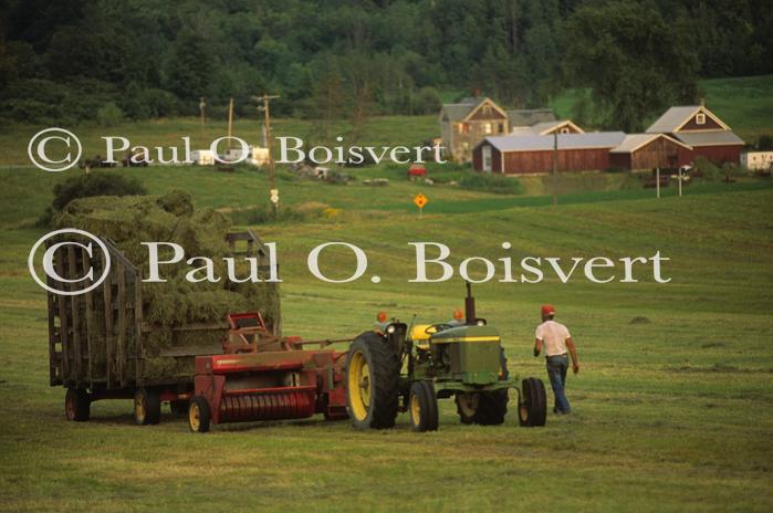 Farm-Summer 30-35-00324