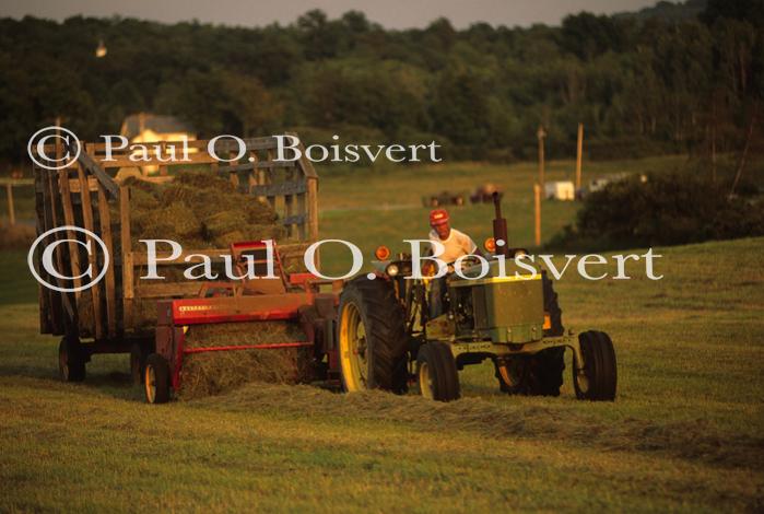 Farm-Summer 30-35-00327