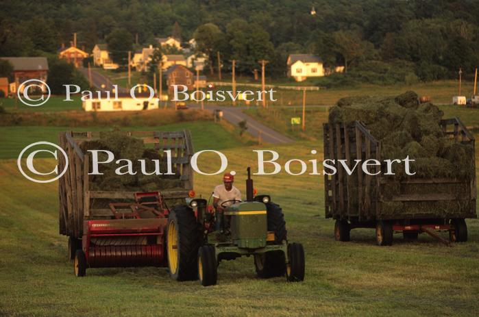 Farm-Summer 30-35-00335