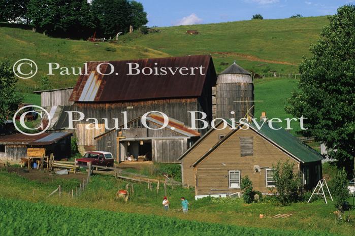 Farm-Summer 30-35-00618