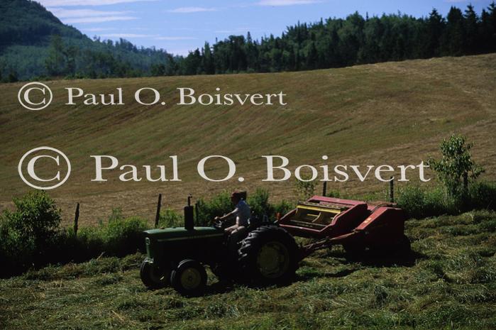 Farm-Summer 30-35-00850