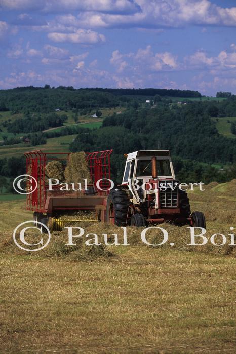 Farm-Summer 30-35-00878