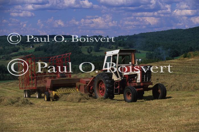 Farm-Summer 30-35-00881