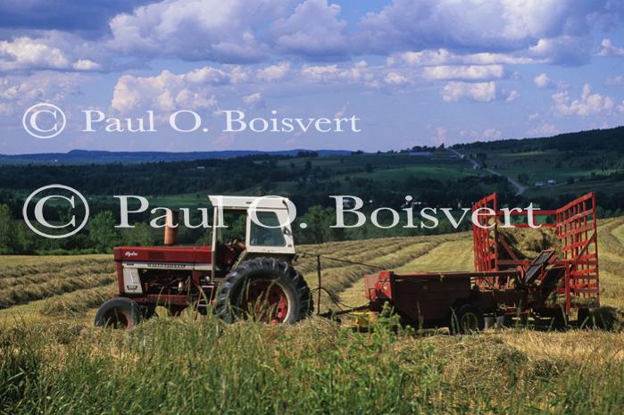 Farm-Summer 30-35-00971