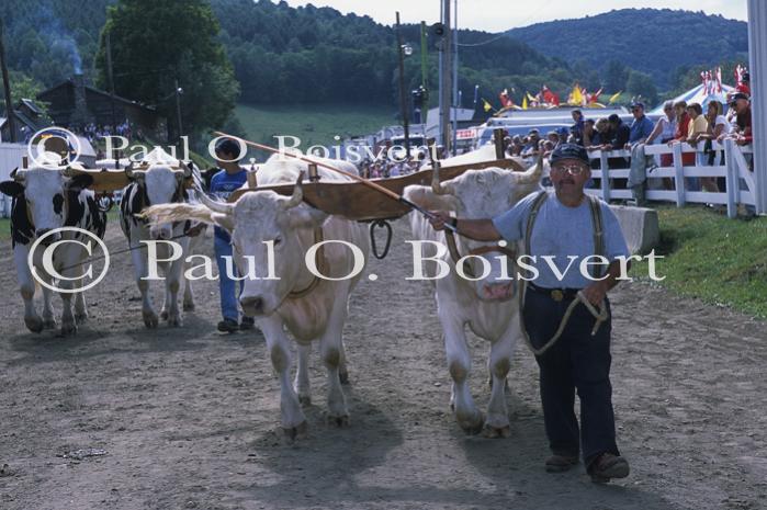 Farm-Summer 30-35-01028