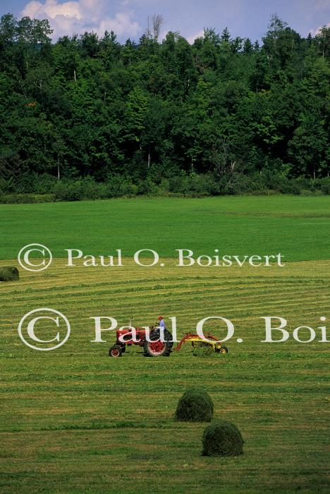 Scenery-Summer 70-20-03139