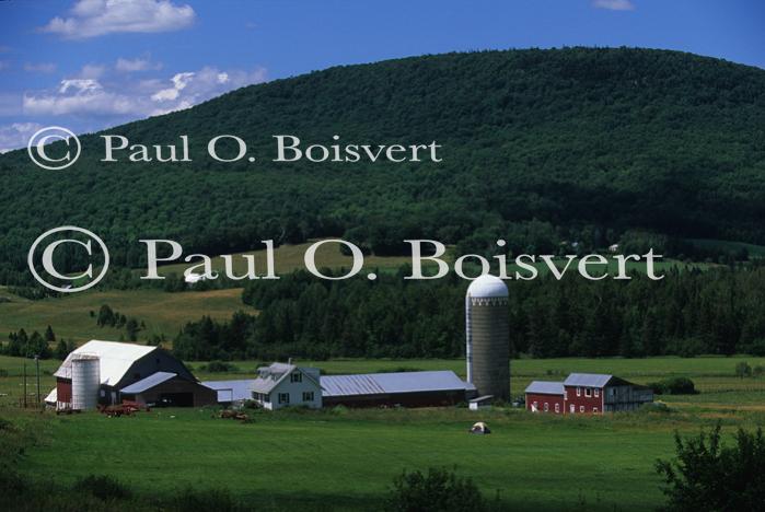 Scenery-Summer 70-20-03899