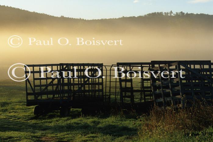 Scenery-Summer 70-20-04145