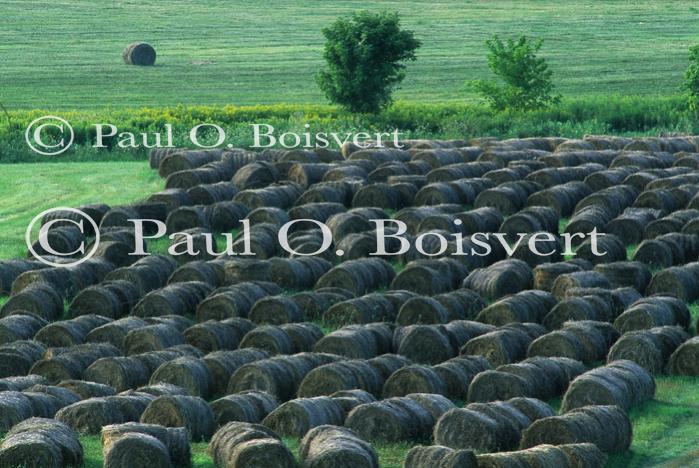 Scenery-Summer 70-20-04170