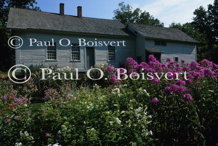 Scenery-Summer 70-20-04218