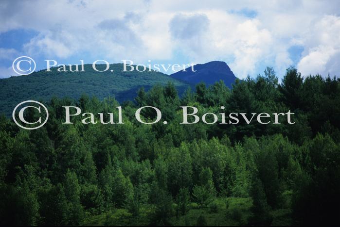 Scenery-Summer 70-20-04226