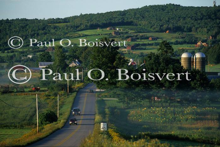 Scenery-Summer 70-20-04281