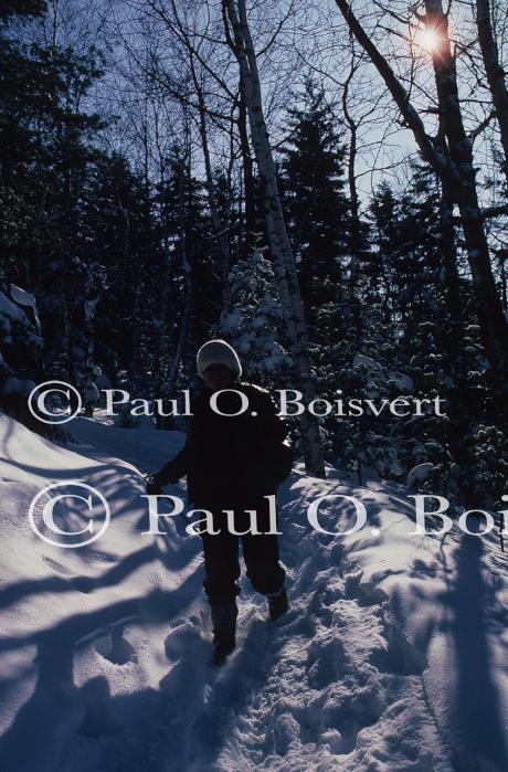 Dogsledding 65-44-00238