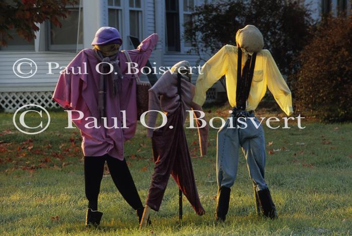 Scenery-Fall 70-05-13286