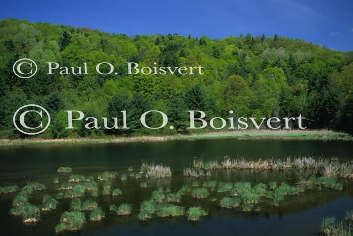 Scenery-Spring 70-10-04129