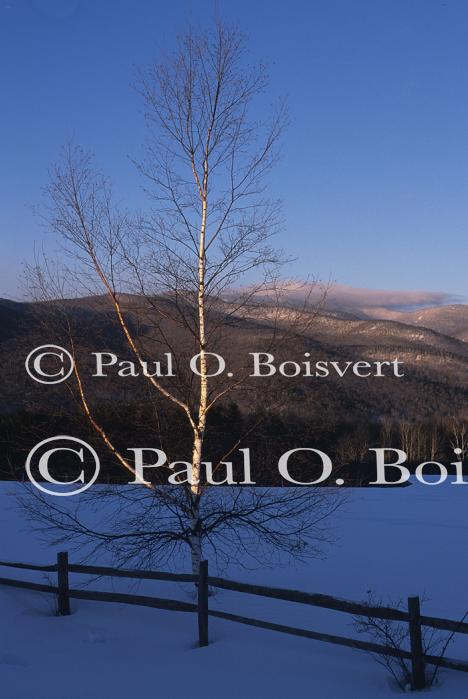 Scenery-Winter 70-30-05678