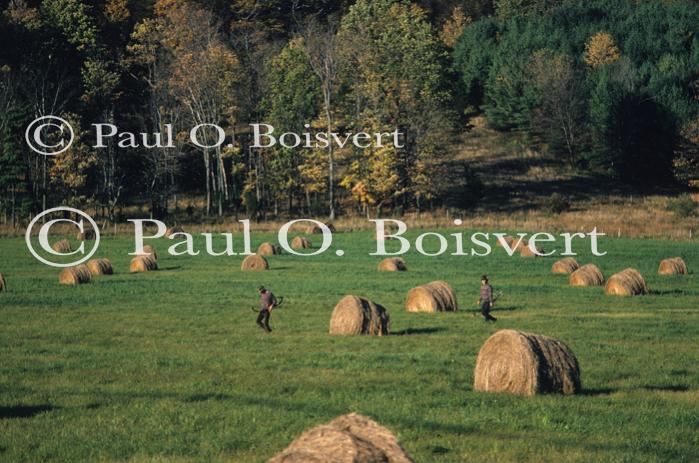 People-Fall 60-13-00108