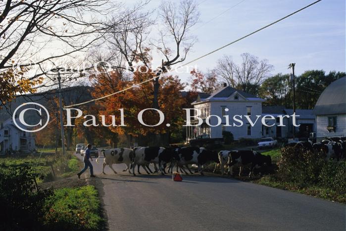 People-Fall 60-13-02593