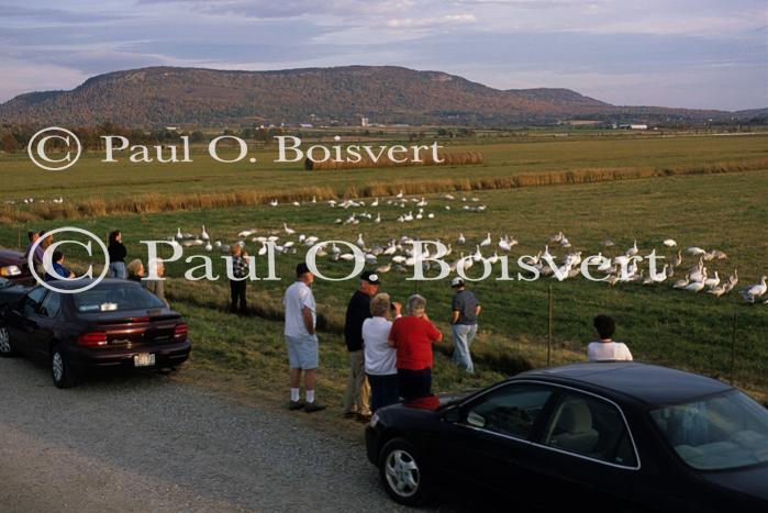 People-Fall 60-13-03194