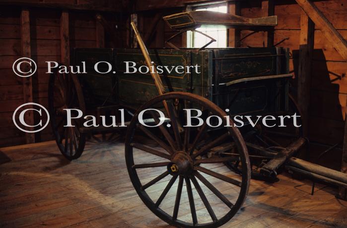 Farm-Summer 27-03-00103