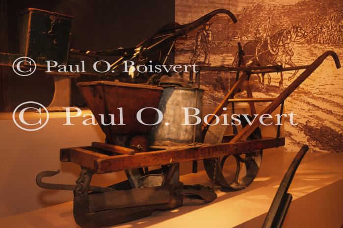 Farm-Summer 27-03-00180