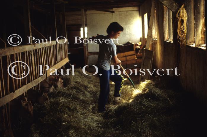 Farm-Summer 27-16-00039