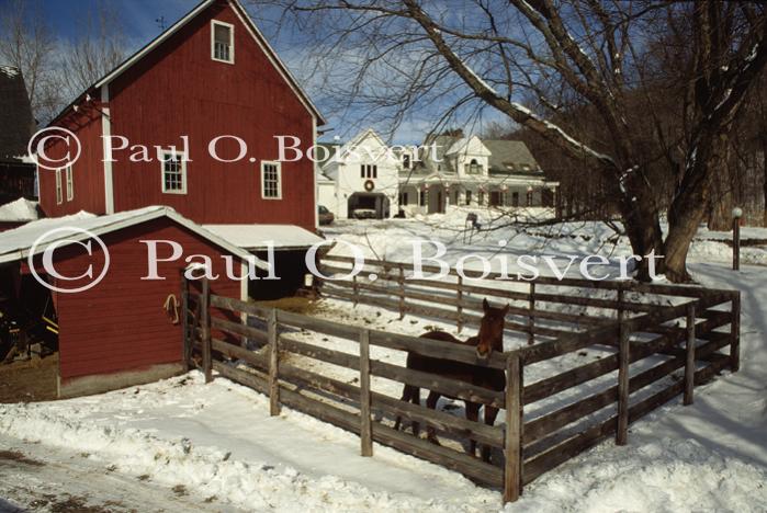 Architectural-Winter 10-25-00840