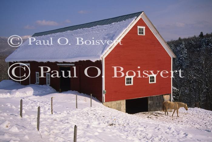 Architectural-Winter 10-25-01615