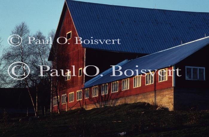 Farm-Fall 30-10-00100