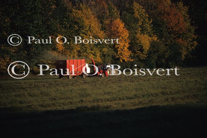 Farm-Fall 30-10-00164