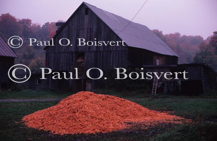 Farm-Fall 30-10-00248