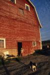 Farm-Fall 30-10-00630