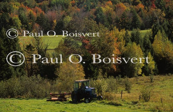 Farm-Fall 30-10-00790