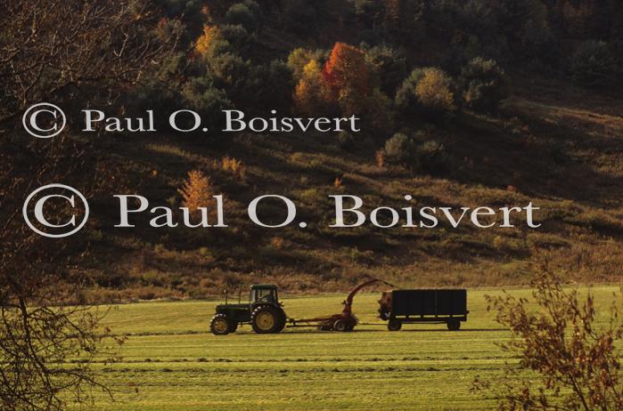 Farm-Fall 30-10-00795