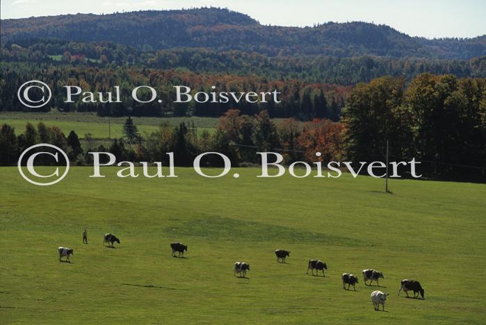 Farm-Fall 30-10-01015