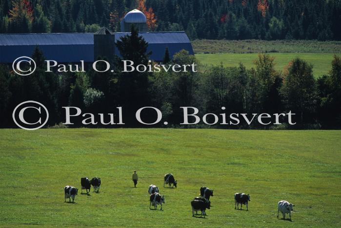 Farm-Fall 30-10-01021