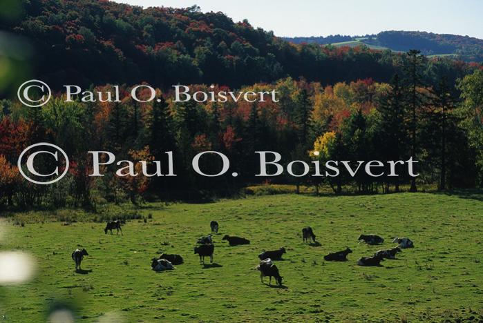 Farm-Fall 30-10-01054