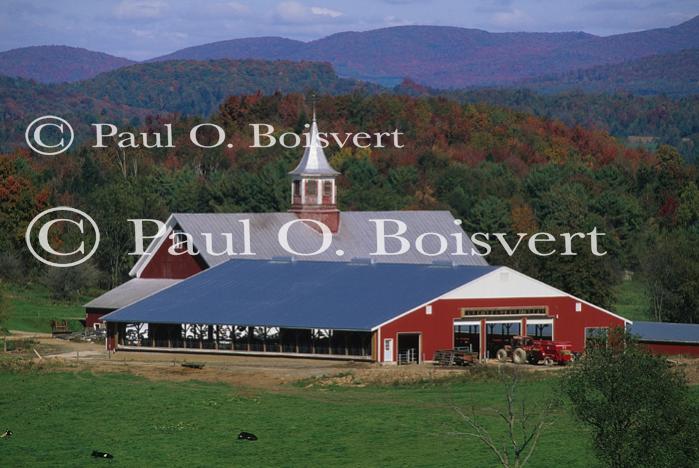 Farm-Fall 30-10-01117