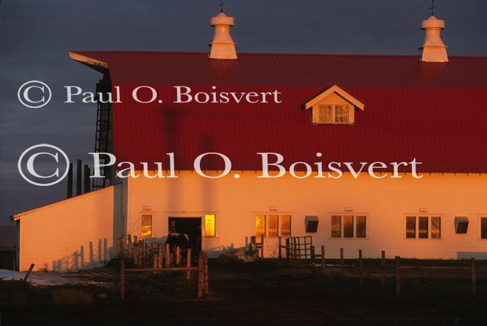 Farm-Fall 30-10-07321