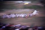 Bread & Puppet 65-05-00180
