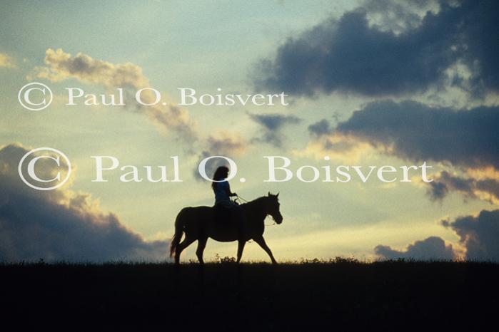 Sports-Horseback 27-78-00242